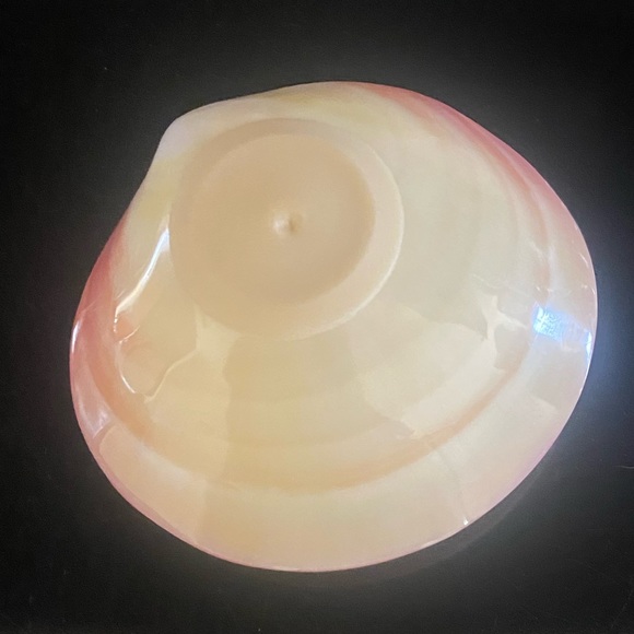 Porcelain Lava Shells For hot shell massage NOUVEAU COQUILLAGE POUR MASSAGE - Picture 5 of 8